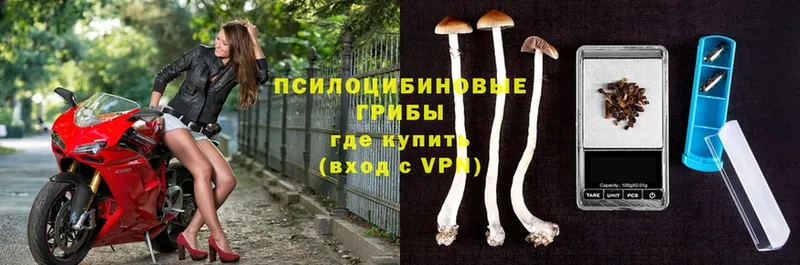 Галлюциногенные грибы мухоморы  Армавир 